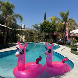Hotel Pink TH, hotelli kohteessa Tehuacán