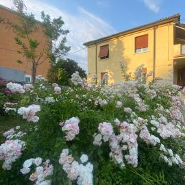 Alle Pratoline Casa vacanze spaziosa vicino Trieste e mare con deposito bici e moto coperto, ξενοδοχείο σε Muggia