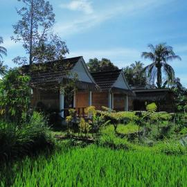 PANORAMA BUNGALOWs, hotel em Tetebatu
