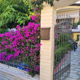 SOLMAR HOUSE