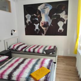Ferienwohnung Landliebe, 2 Schlafzimmer, 5 Pers, Nähe Jennersdorf, hotel in Windisch Minihof