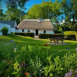Murphys Thatched Cottage, Hotel in Mitchelstown
