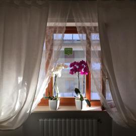 B&B Le Saline, hotel in Taranto