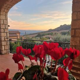 Agriturismo La Sede Di Carlo، فندق في ساتورنيا
