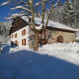 Gîte du Champ du Bois : Confort au cœur des Vosges
