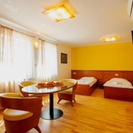 Sobe in apartmaji Triglav - Gostinstvo Tomex、イリルスカ・ビストリツァのホテル