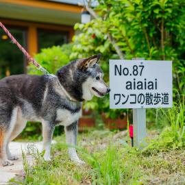 Nonno, a rental villa with natural hot spring - Vacation STAY 54162v – hotel w mieście To-katta