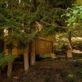 Cottage in Muashi, Svaneti, hotel em Mebetsi