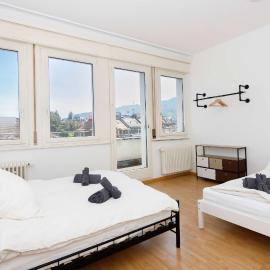 Spacious Zurich Apt Huge Terrace & Views
