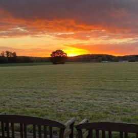 COSY FARM BNB - CARAVANS - DOGS WELCOME - 5 MIN FROM e47, hotel in Tureby