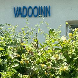 VadooInn, hotell i Vadu