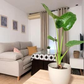 Casa VILLaRAN, hotel a Moguer