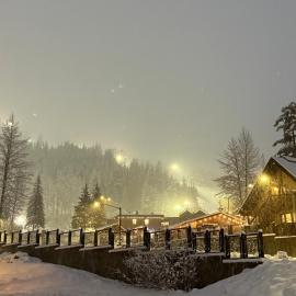 Alyeska Mountain Side Retreat!, hotel v destinácii Girdwood
