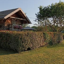 Gîte / chalet meublé pour 2 personnes le 1780