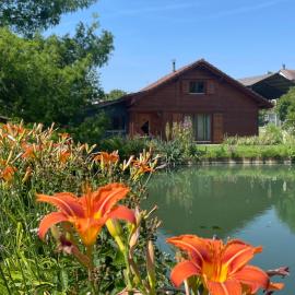 Chalet au bord d'un étang, hotel a Ueberstrass