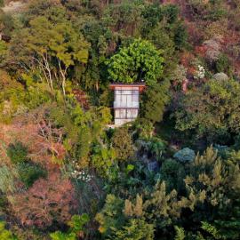 Luxury Casa Árbol Amazing View, hotell sihtkohas Jaibalito