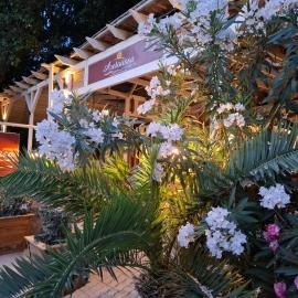 Pension Aretoussa, hotel a Pitsidia