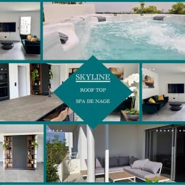 Skyline Rooftop Swim Spa