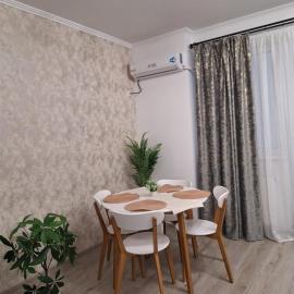 Silvana Apartament, מלון בRoşu