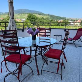 La Terrasse du Vignoble - Garage et parking privatifs