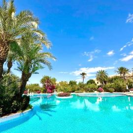 Appartement standing piscine la palmeraie