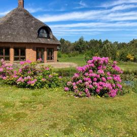 Octagonal Thatched Forest House Near Herning, ξενοδοχείο σε Videbæk