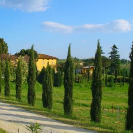 Idyllic holiday home in Vinci with swimming pool, hotel a Vinci