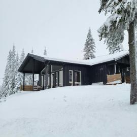 Sunny Cabin With Panoramic Views At Sjusjøen