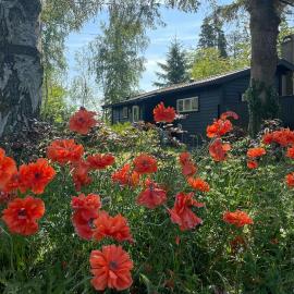 Charming Cottage Close To Smidstrup Beach, hotel a Gilleleje