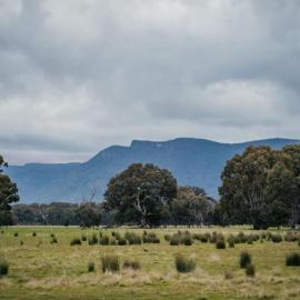 Northern Grampians Hideaway by Tiny Away, hotel en Dadswells Bridge