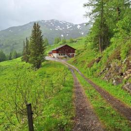 Tauernbergalm