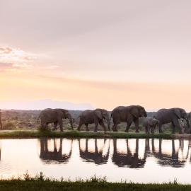 Jabulani Safari Relais & Chateaux, hotel in Kapama Private Game Reserve