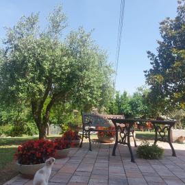 B&B Straccialena, מלון בColcerasa