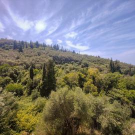 Villa Parselina