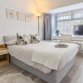Comfortable Double Room for One Person, hotel in Bromley