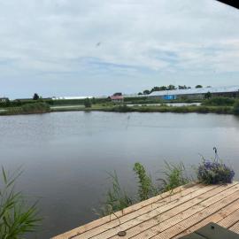 Forelwereld camping Luttelgeest aan zee vlak bij Giethoorn ,Lemmer ,Urk, hotel a Luttelgeest