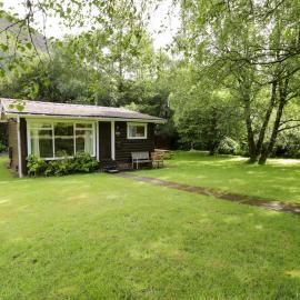 Ty Bedwen, hotel in Machynlleth