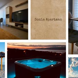 비르에 위치한 호텔 Sonia Apartman