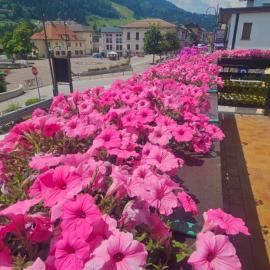 Affittacamere Fiocco di Neve, Hotel in Tarvis