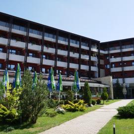 Hotel Carpați, hotel em Predeal