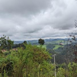 Kitabi में, होटल NYUNGWE VILLAGE