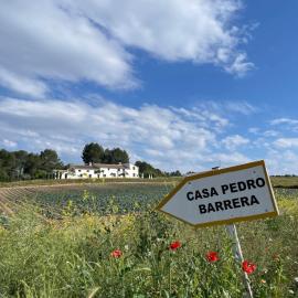 Hotel Casa Pedro Barrera, ξενοδοχείο σε Almudema