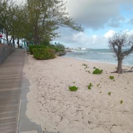 Alleyne Apartments, hotell i Bridgetown