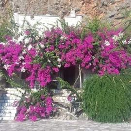 Villa Voukamvilia 3 minutes walk from Beach, hotell sihtkohas Neon Oitilon