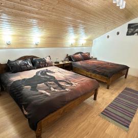 Casa Taraneasca "OM BUN", hotel Alămor városában