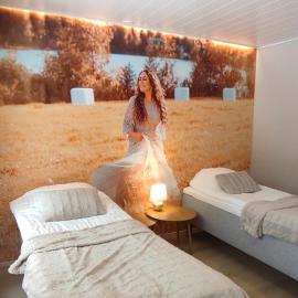 Wirsuvaara, hotel u gradu Joensu