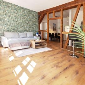 RAHA Apartments - DOM VI - Direkt am Domplatz - Vollausstattung