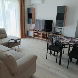 Apartamenty JAGIEŁŁY PARK 1, Hotel in Hohenstein