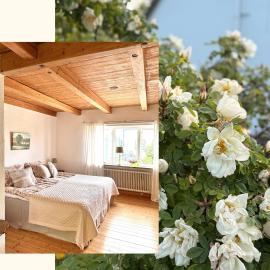 Rävåkra B&B Österlen, hotel en Hammenhög