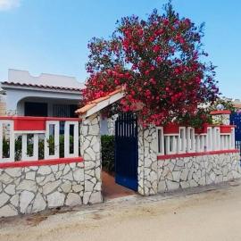 oasis home